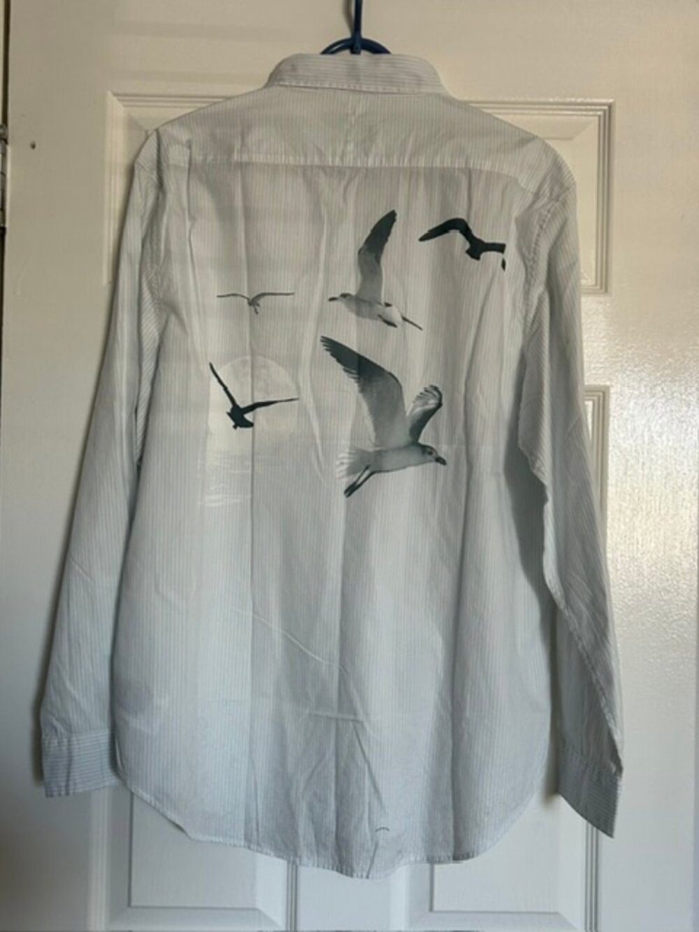 Taylor Swift 1989 (Taylor's Version) Seagull Blue Stripe Poplin Shirt
